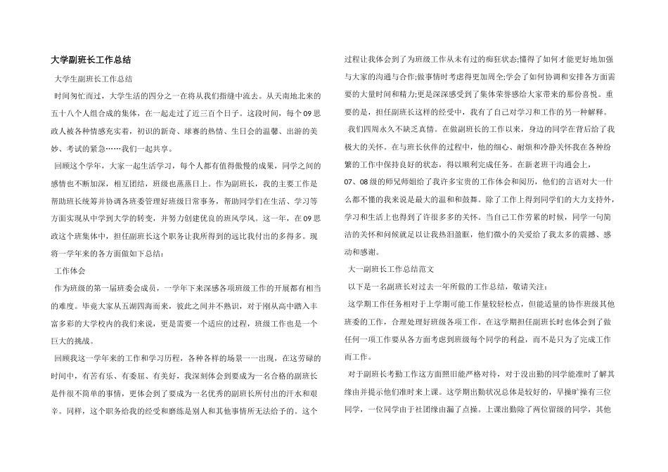 大学副班长工作总结_第1页