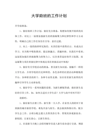 大学助班的工作计划