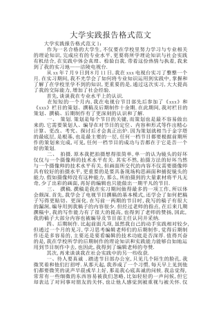 大学实践报告格式范文