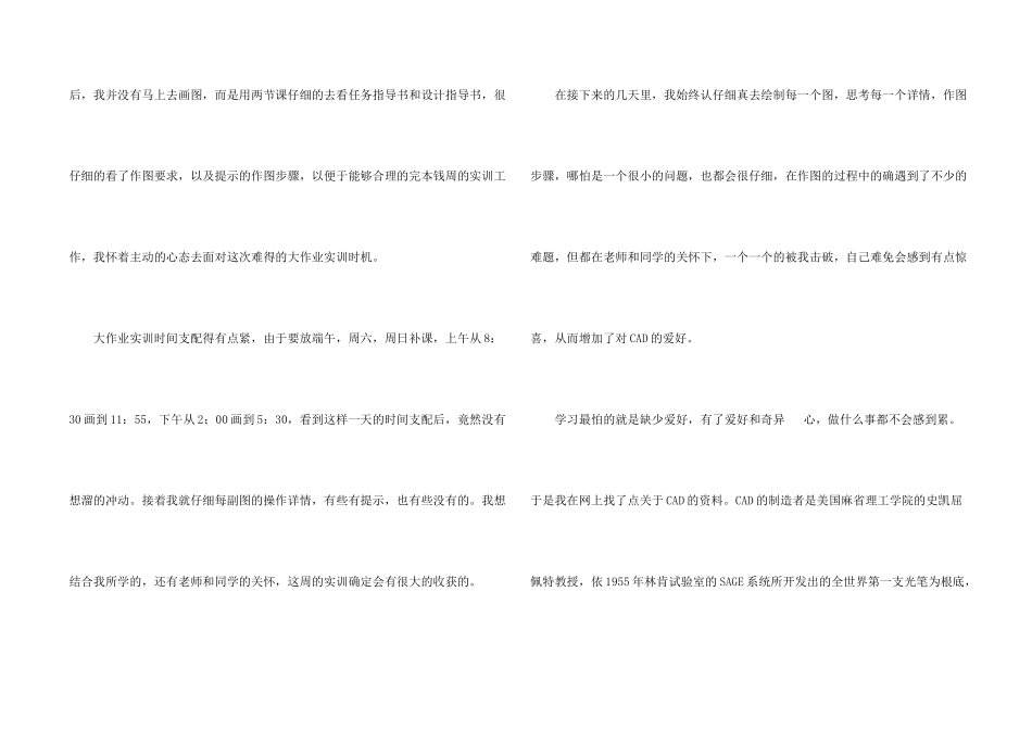 大学生cad实训总结_第2页