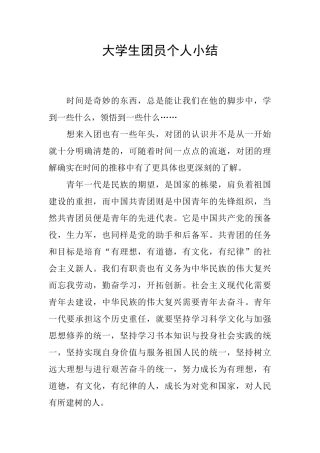大学生团员个人小结