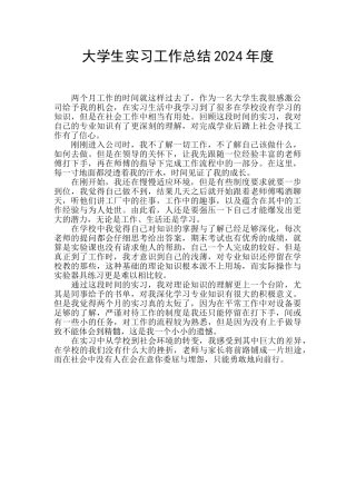 大学生实习工作总结2024年度