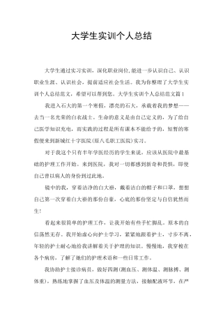 大学生实训个人总结