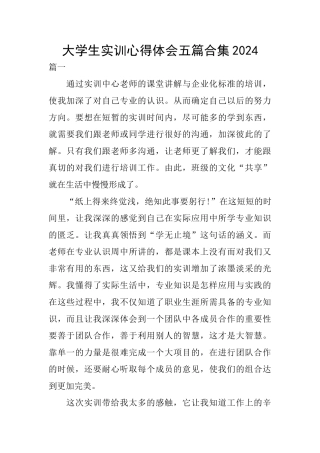 大学生实训心得体会五篇合集2024