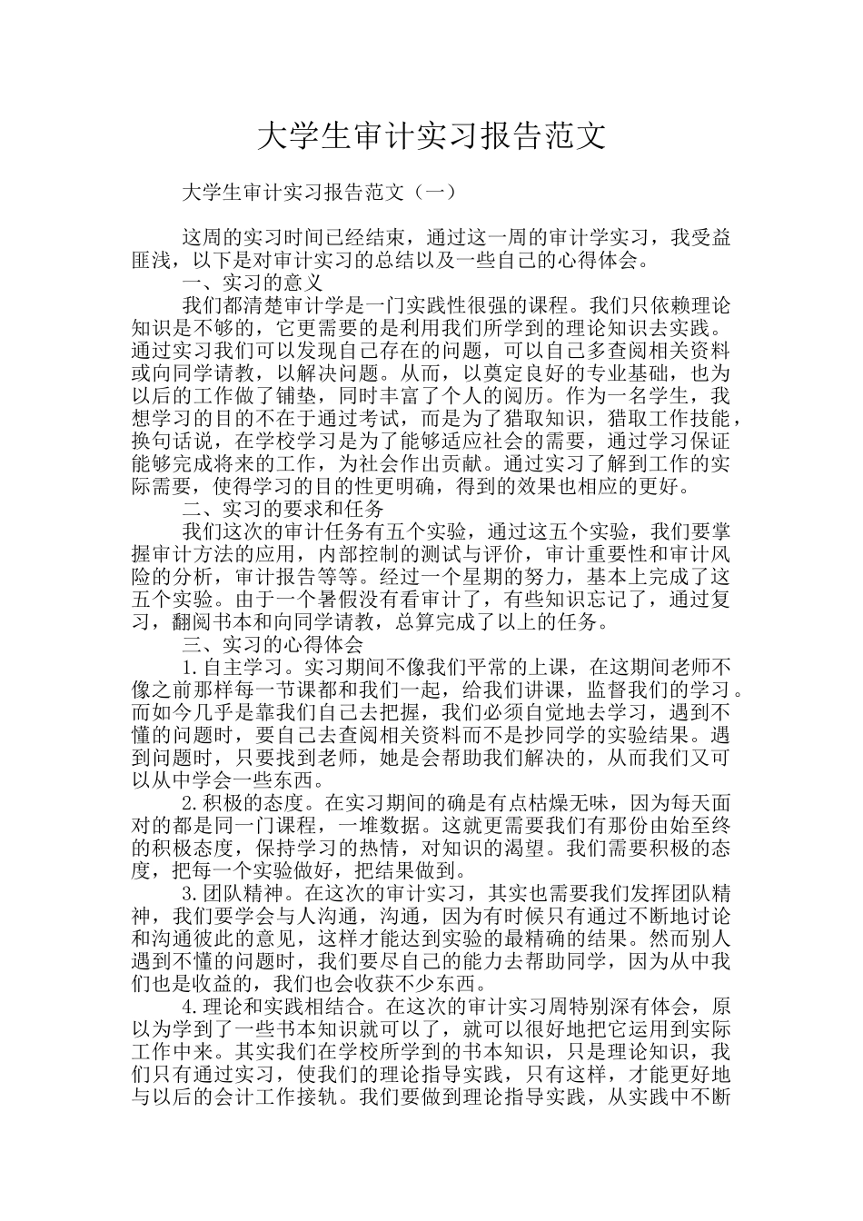大学生审计实习报告范文_第1页