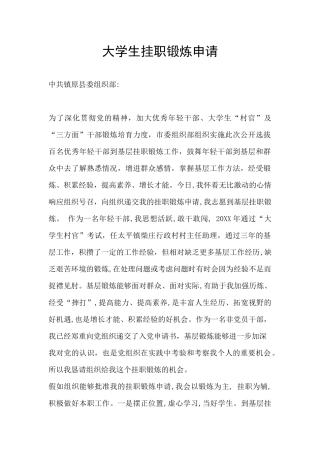 大学生挂职锻炼申请