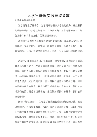 大学生暑假实践总结5篇