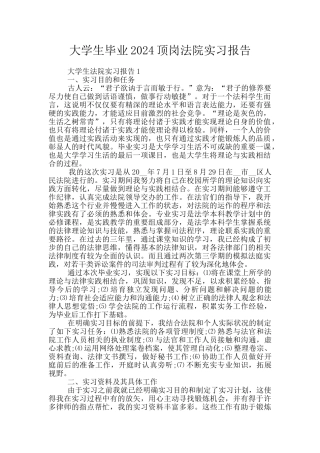 大学生毕业2024顶岗法院实习报告