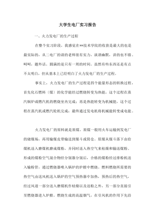 大学生电厂实习报告