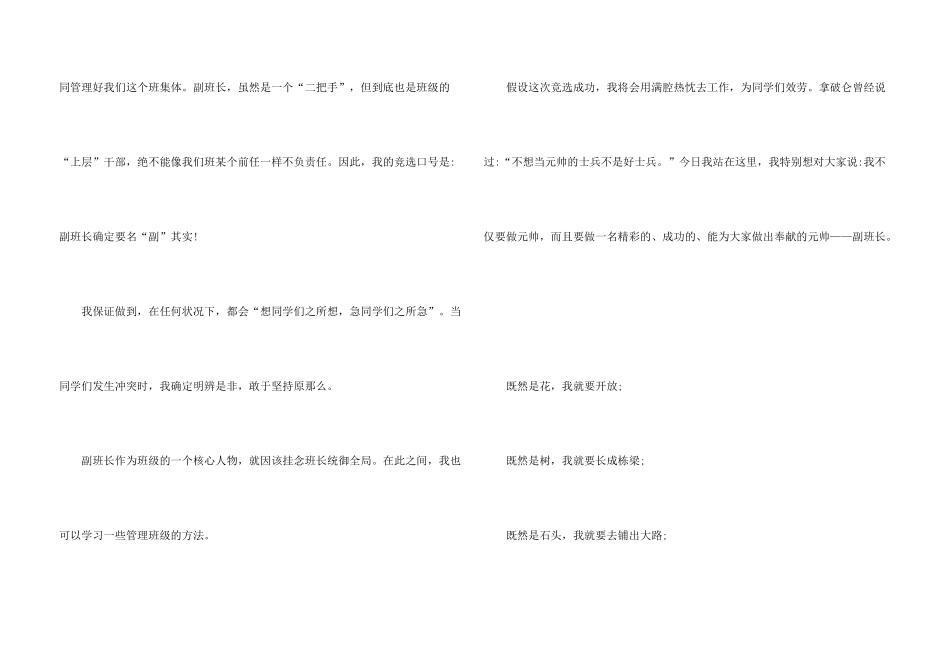 大学竞选副班长的演讲稿_第3页