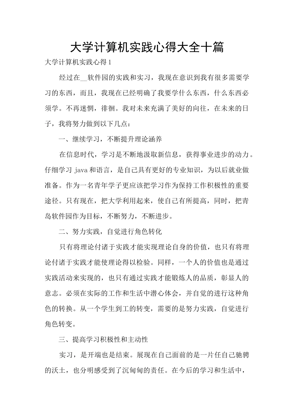 大学计算机实践心得大全十篇_第1页