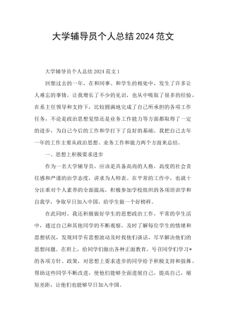 大学辅导员个人总结2024范文