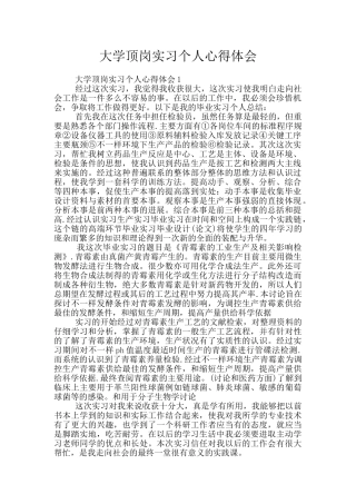 大学顶岗实习个人心得体会