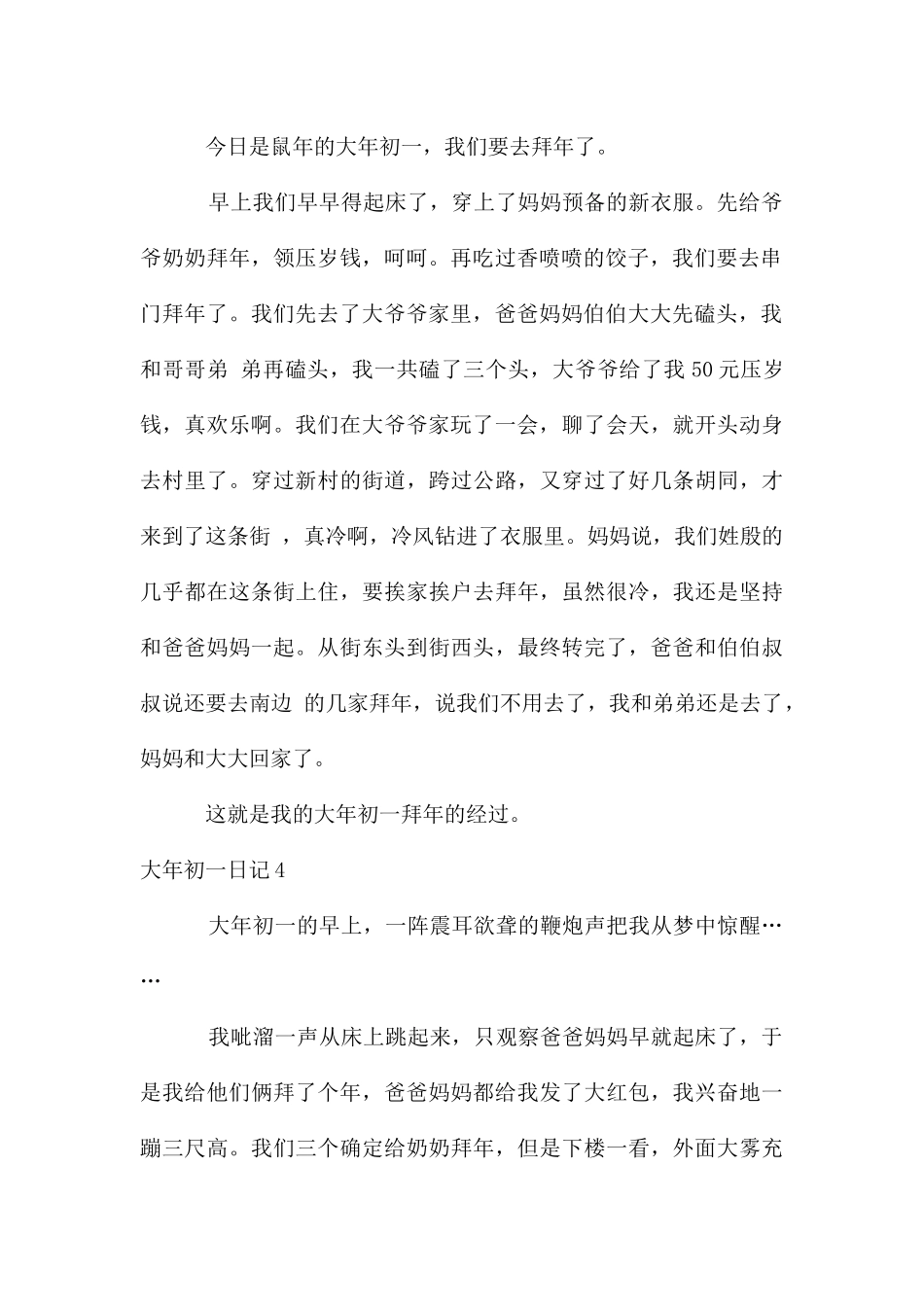 大年初一日记_第3页