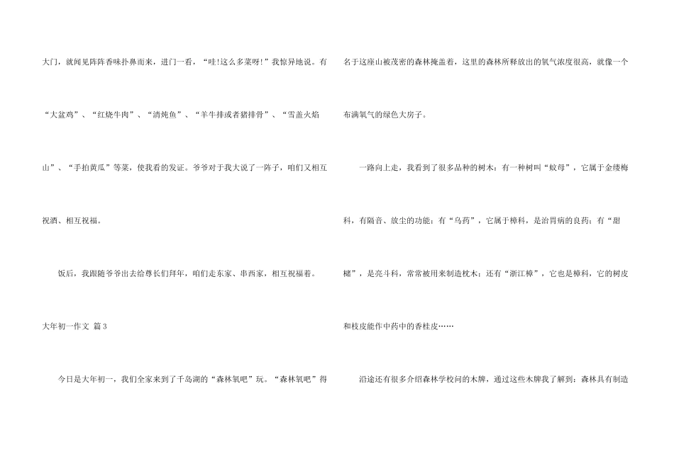 大年初一汇总5篇_第3页