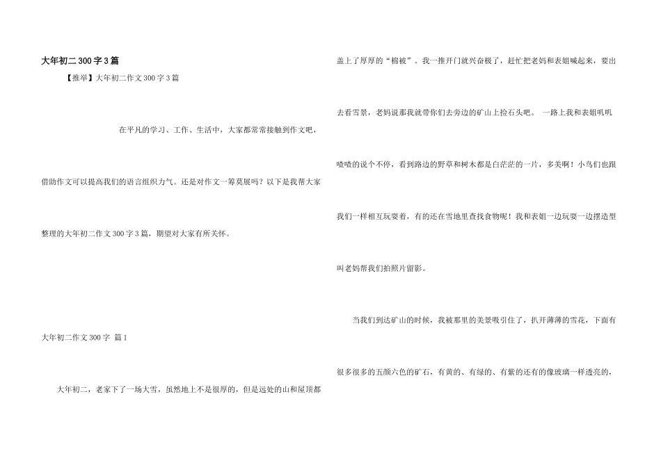 大年初二300字3篇_第1页