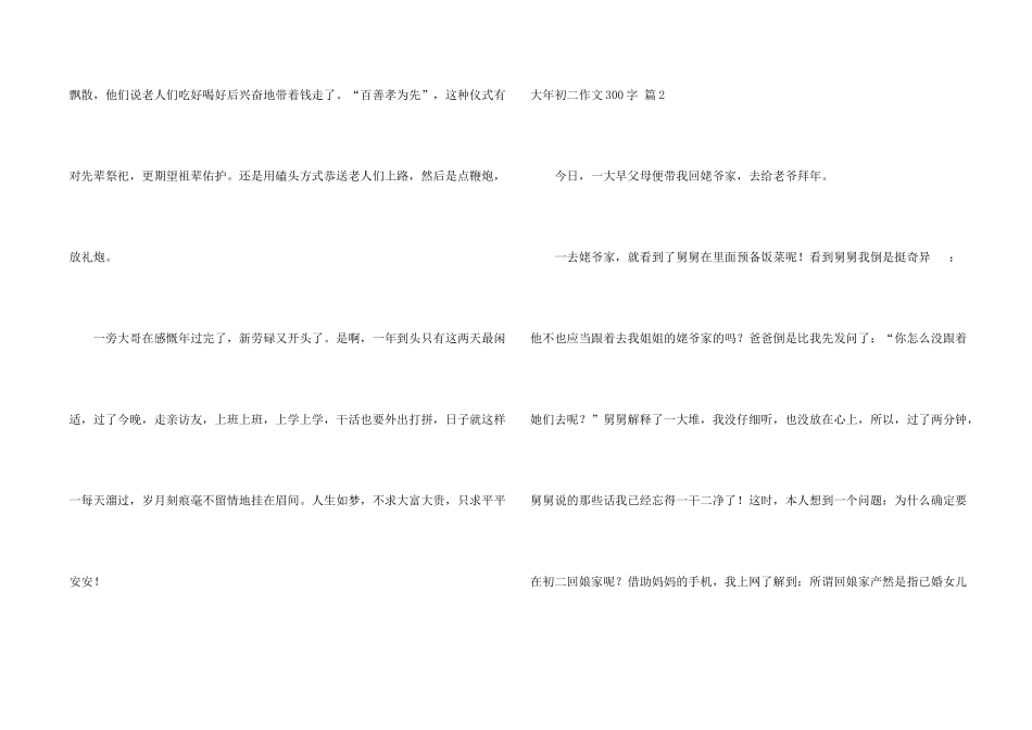 大年初二300字8篇_第2页