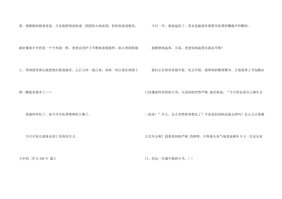 大年初二300字七篇_第2页
