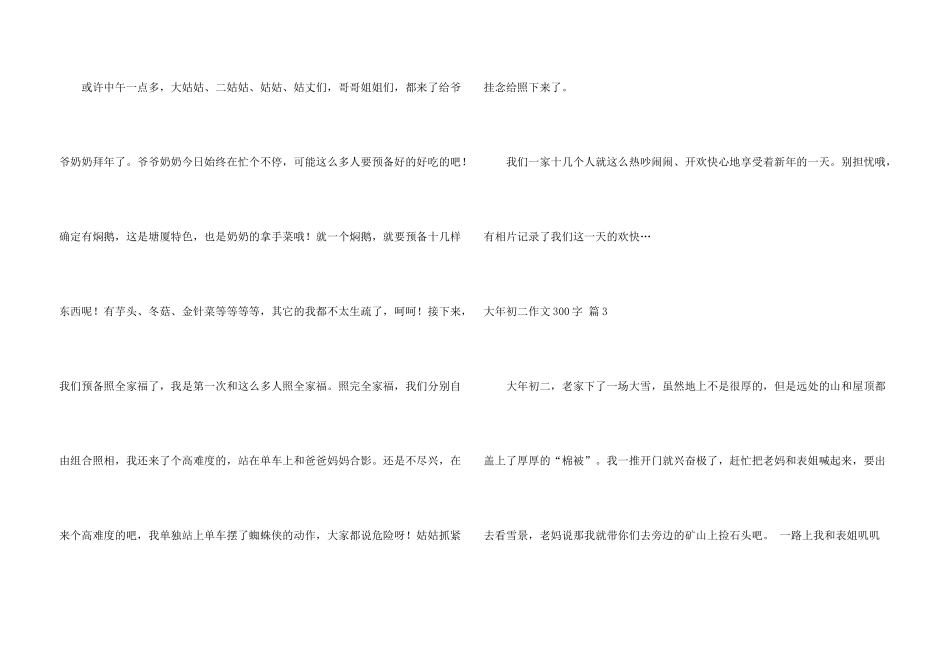 大年初二300字汇总6篇_第3页