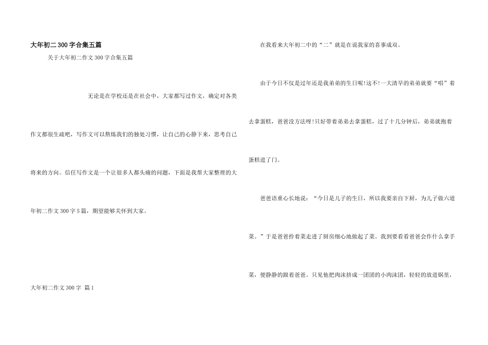 大年初二300字合集五篇_第1页