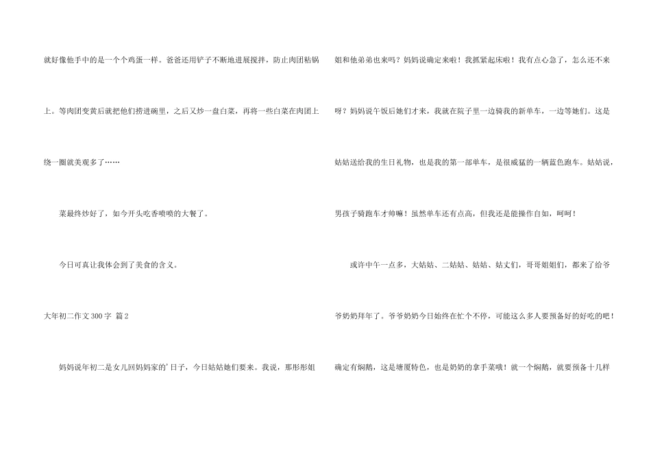 大年初二300字合集五篇_第2页