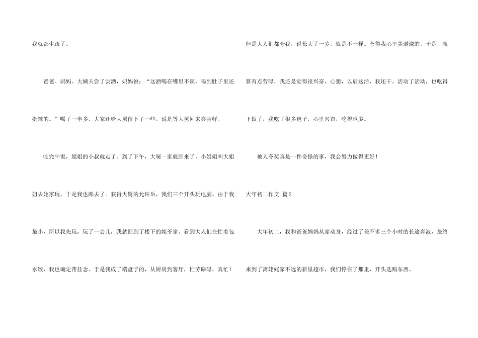大年初二锦集十篇_第2页
