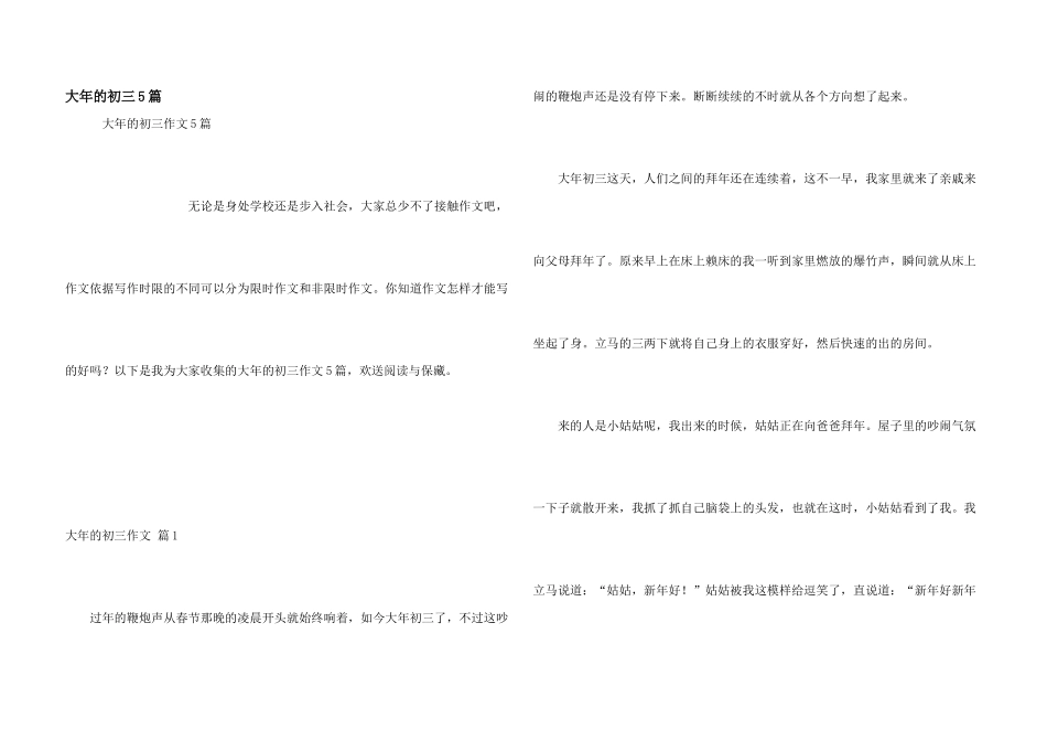 大年的初三5篇_第1页