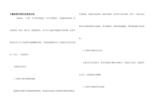 大暑的养生常识及饮食方法