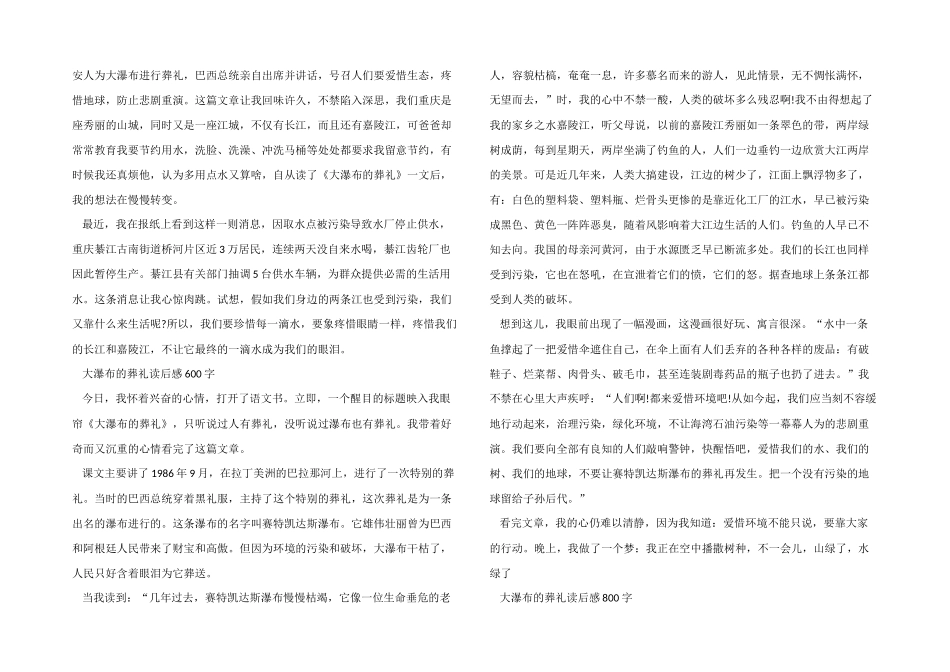 大瀑布的葬礼读后感模板五篇_第2页