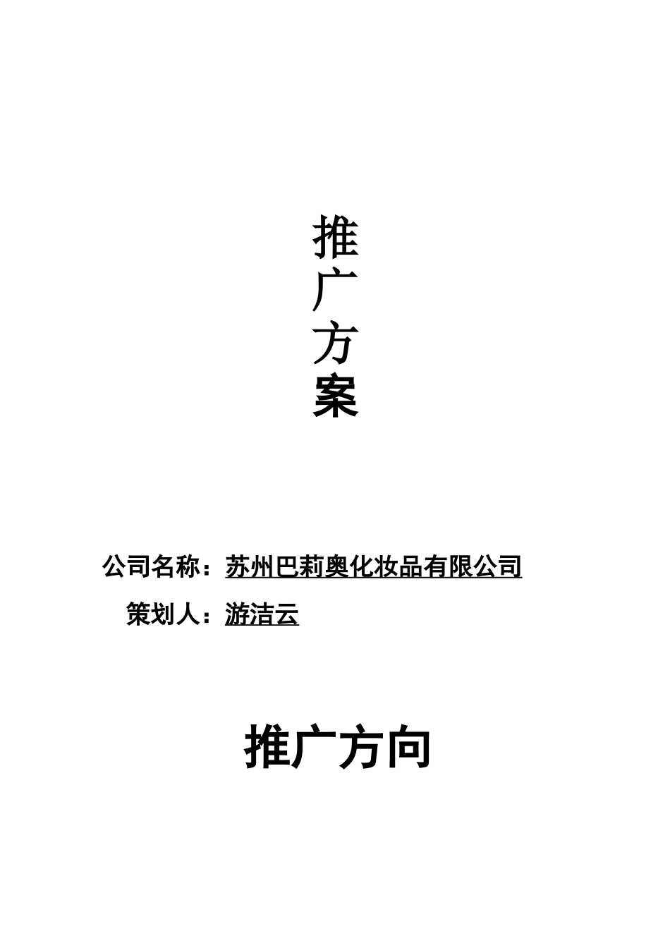 天猫旗舰店运营推广方案_第1页
