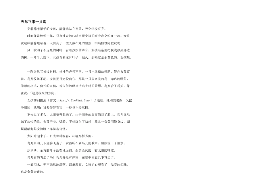 天边飞来一只鸟_第1页