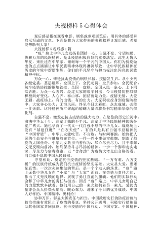 央视榜样5心得体会