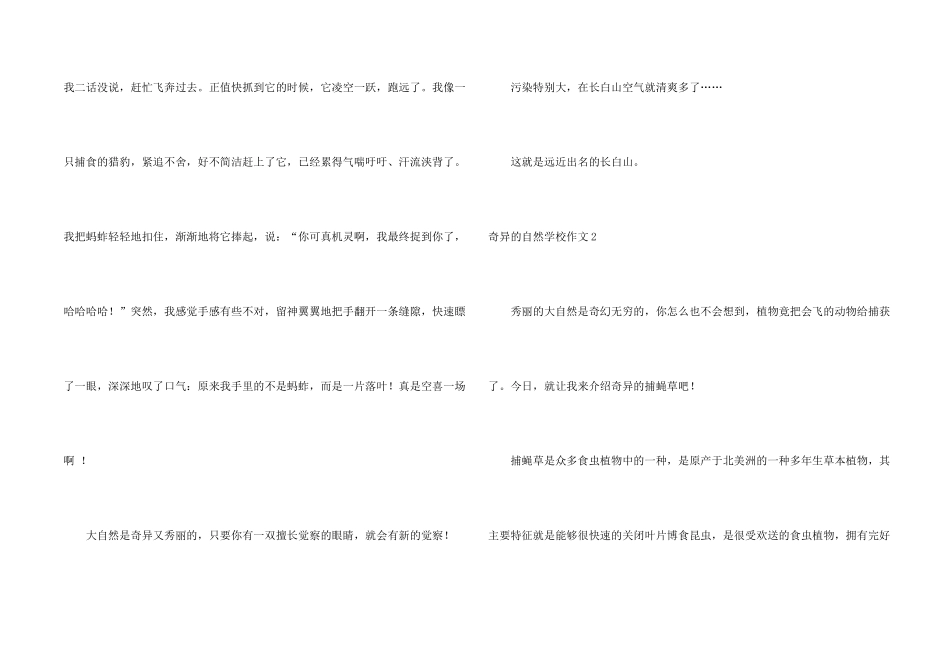 奇妙的自然小学_第2页