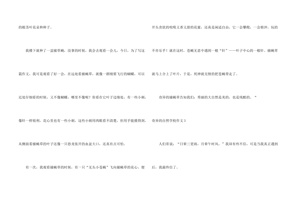 奇妙的自然小学_第3页