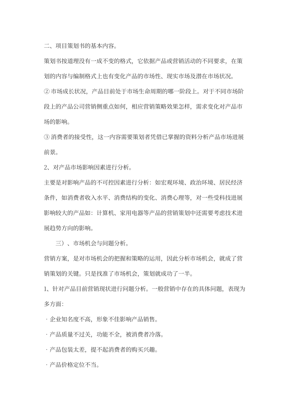 如何写项目策划案_第3页