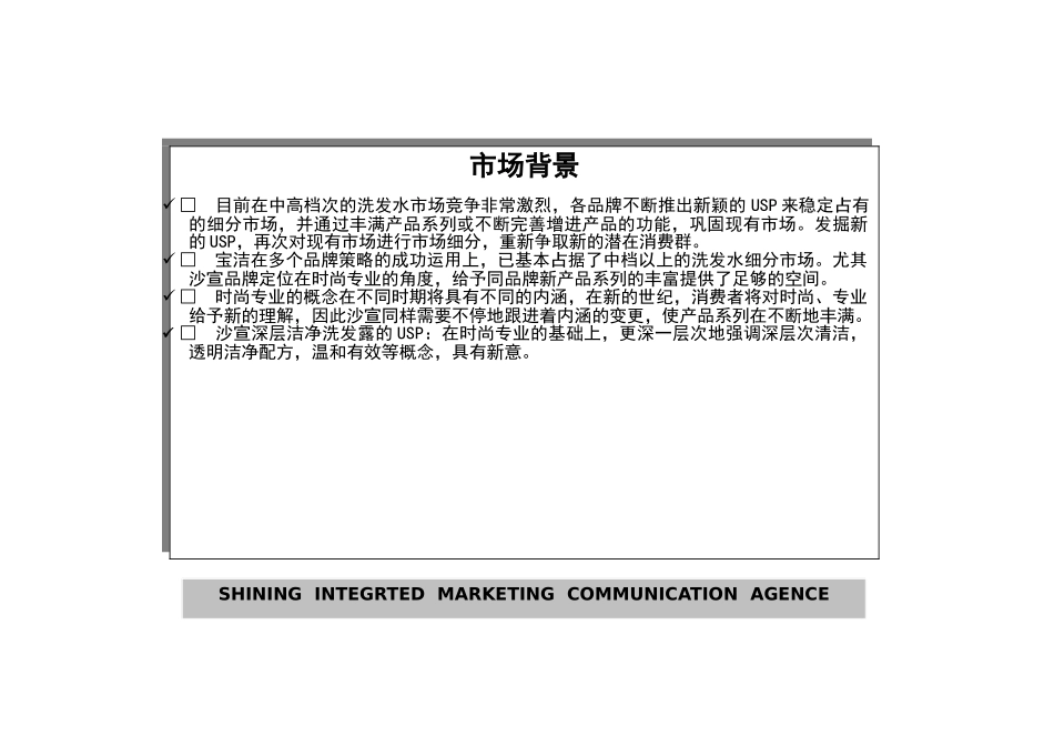 沙宣产品年度促销计划_第2页
