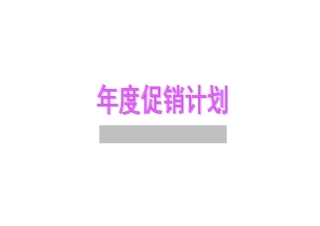 沙宣产品年度促销计划