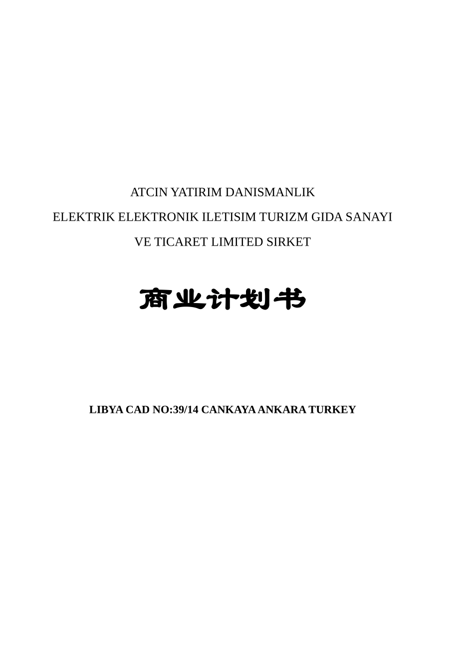 商业计划书白金模版_第1页