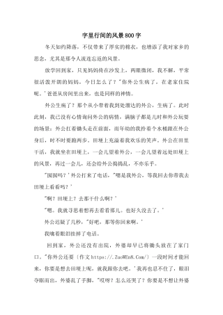 字里行间的风景800字