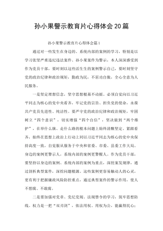 孙小果警示教育片心得体会20篇