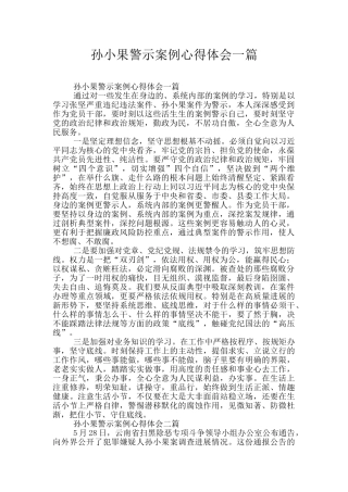 孙小果警示案例心得体会一篇