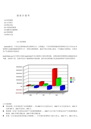 商业计划书实例互联网公司