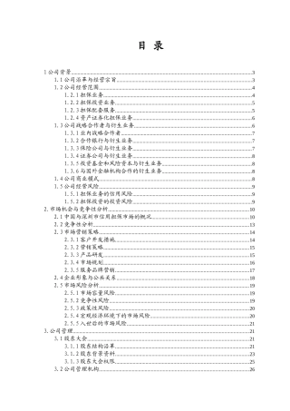 商业计划书投资股份有限公司担保业务