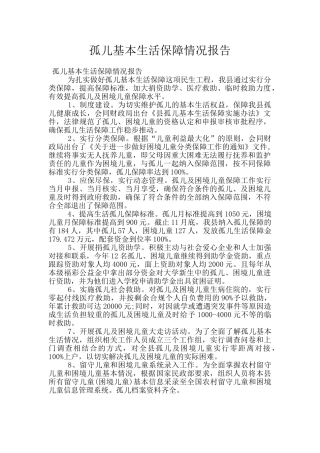 孤儿基本生活保障情况报告