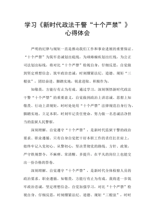 学习《新时代政法干警“十个严禁”》心得体会