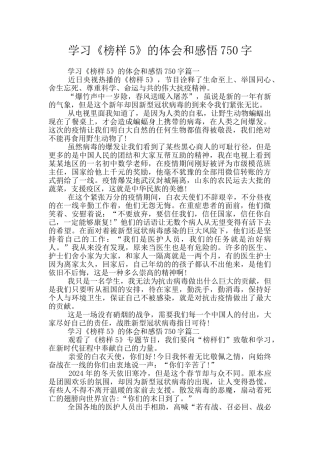学习《榜样5》的体会和感悟750字