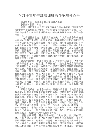 学习中青年干部培训班的斗争精神心得