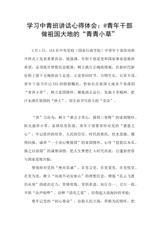 学习中青班讲话心得体会：@青年干部做祖国大地的“青青小草”