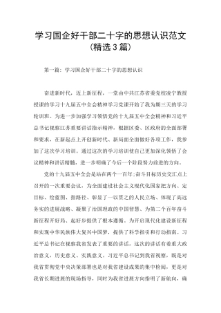 学习国企好干部二十字的思想认识范文