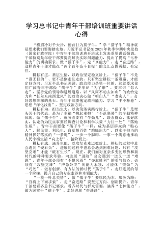 学习总书记中青年干部培训班重要讲话心得